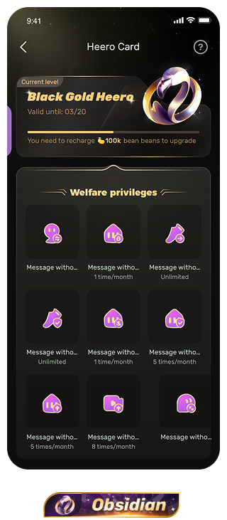 贵族权益 黑金Hero