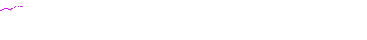 财富等级