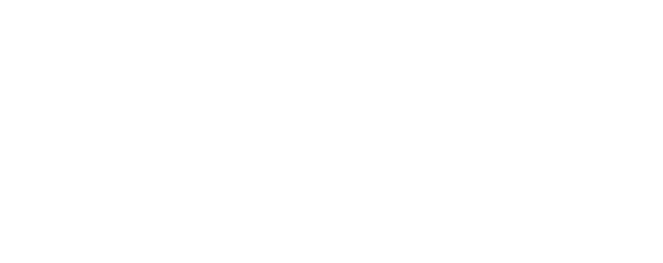 项目案例详情